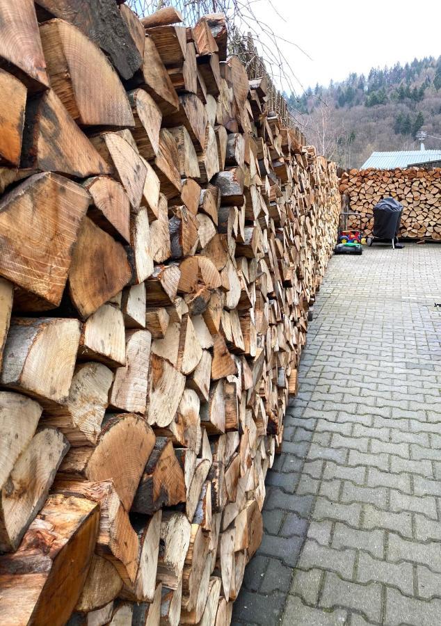 Willa Ewa Krynica-Zdrój Exterior foto